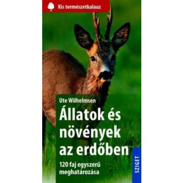 Ute Wilhelmsen: Állatok és növények az erdőben