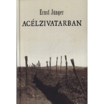 Ernst Jünger: Acélzivatarban