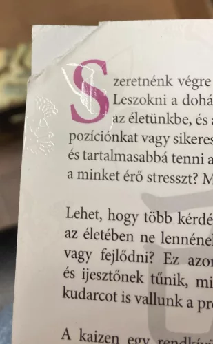 Robert Maurer: Kaizen - Változz félelem nélkül! (antikvár)
