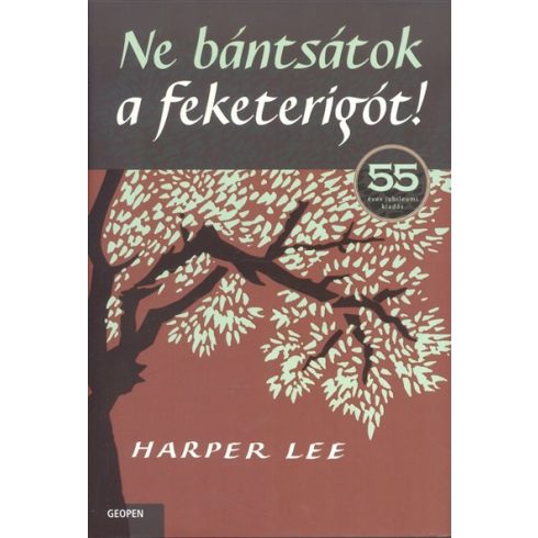 Harper Lee: Ne bántsátok a feketerigót!
