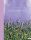 Beh Mariann: Levendula