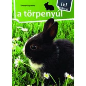 1x1 Törpenyúl (antikvár)