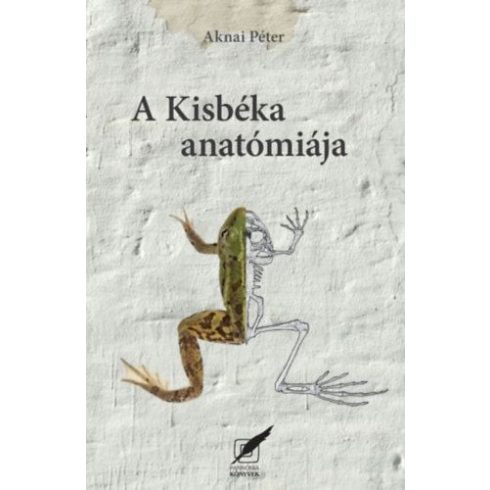 Aknai Péter: A kisbéka anatómiája