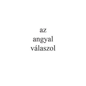 MALLÁSZ GITTA: AZ ANGYAL VÁLASZOL - DOKUMENTUM
