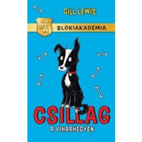 Gill Lewis: Csillag a Viharhegyen - Blökiakadémia 2.