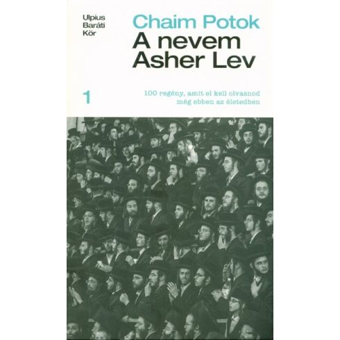 Chaim Potok: A nevem Asher Lev