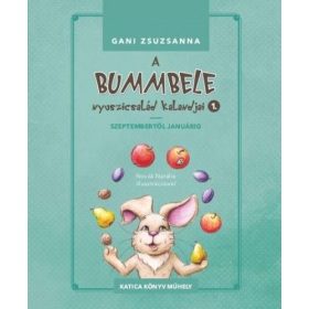   Gani Zsuzsanna: A Bummbele nyuszicsalád kalandjai 1. - Szeptembertől januárig