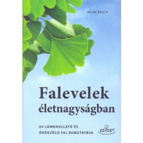 Meike Bosch: Falevelek életnagyságban