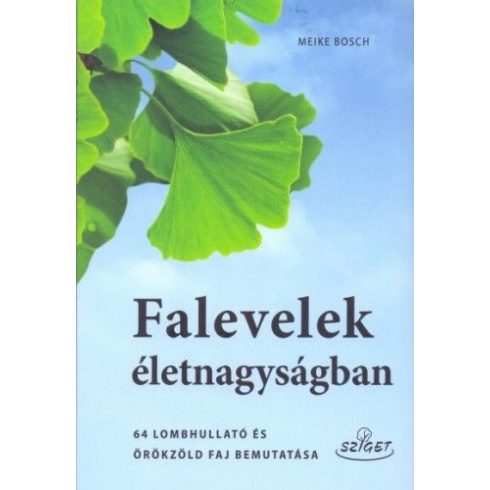 Meike Bosch: Falevelek életnagyságban