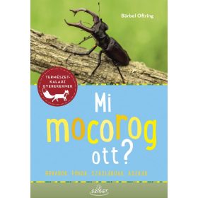 Bärbel Oftring: Mi mocorog ott?