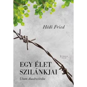 Hédi Fried: Egy élet szilánkjai