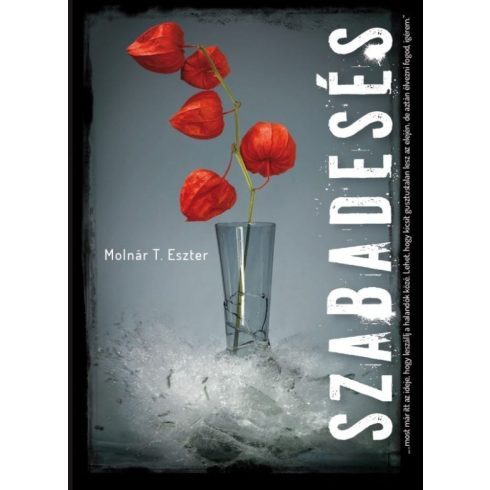 Molnár T. Eszter: Szabadesés