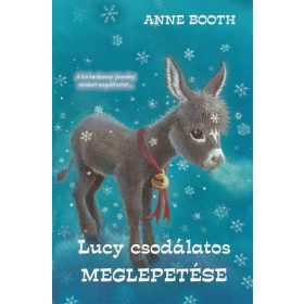 Anne Booth: Lucy csodálatos meglepetése