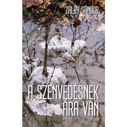 Zalay Sándor: A szenvedésnek ára van