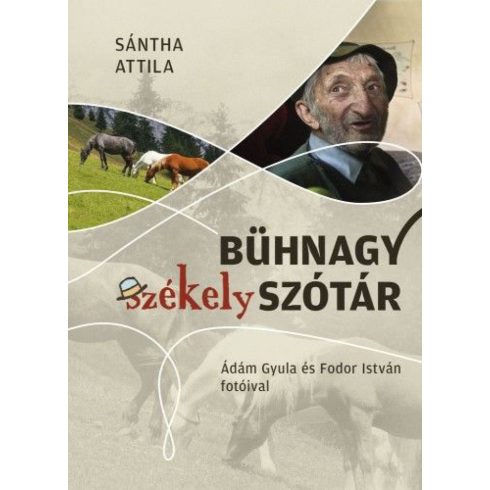 Sántha Attila: Bühnagy székely szótár