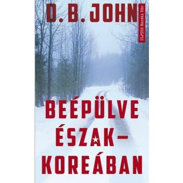 D. B. John: Beépülve Észak-Koreában