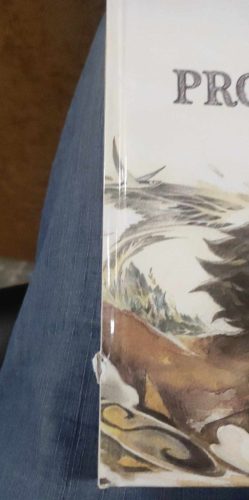 Kobi Yamada: Mit kezdjünk egy problémával? (sérült, szépséghibás)