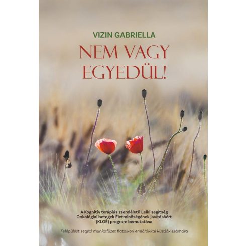 VIZIN GABRIELLA: NEM VAGY EGYEDÜL!