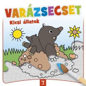 Kifestő: VARÁZSECSET - Kicsi állatok