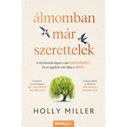 Holly Miller: Álmomban már szerettelek