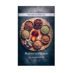   PÁLINKÁS SZILVIA: BENNEM ÉLŐ ÁLMOD - EGY MEG NEM ÉLT ÉLET