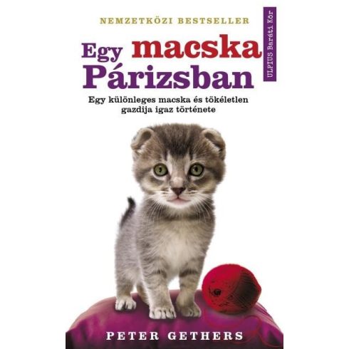 Peter Gethers: Egy macska Párizsban