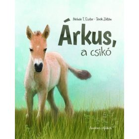 Molnár T. Eszter, Török Zoltán: Árkus, a csikó