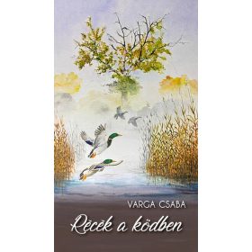 Varga Csaba: Récék a ködben