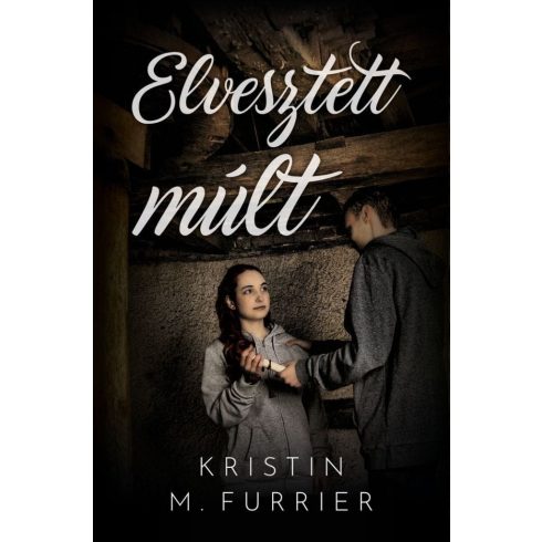 Kristin M. Furrier: Elvesztett múlt