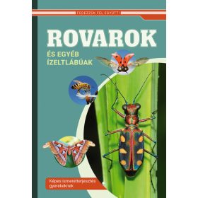   Válogatás: Rovarok és egyéb ízeltlábúak - Képes ismeretterjesztés gyerekeknek - Fedezzük fel együtt!