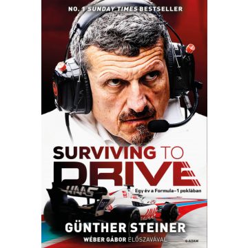 Günther Steiner: Surviving to Drive