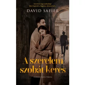 David Safier: A szerelem szobát keres