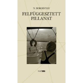 N. Borosnyay Katalin: Felfüggesztett pillanat