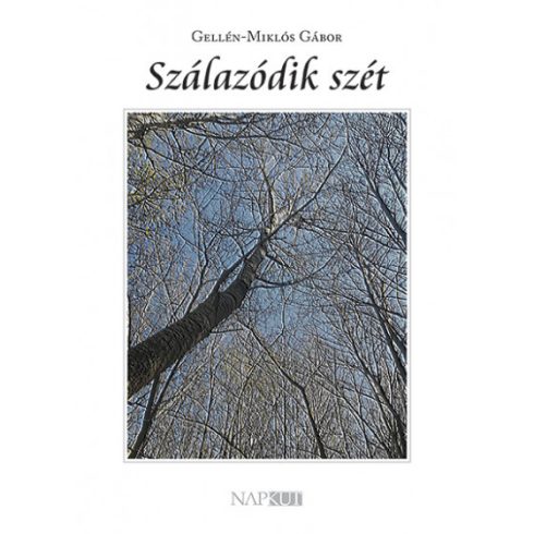 Gellén-Miklós Gábor: Szálazódik szét