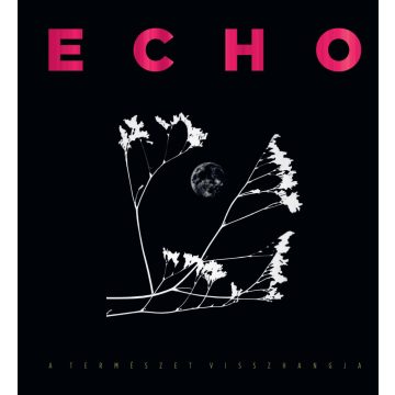 ECHO- A TERMÉSZET VISSZHANGJA