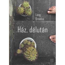 Láng Orsolya: Ház, délután