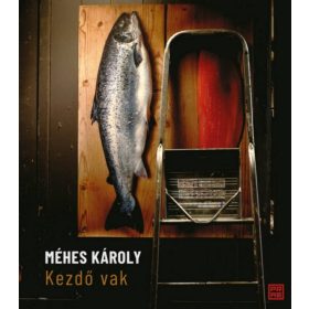 Méhes Károly: Kezdő vak