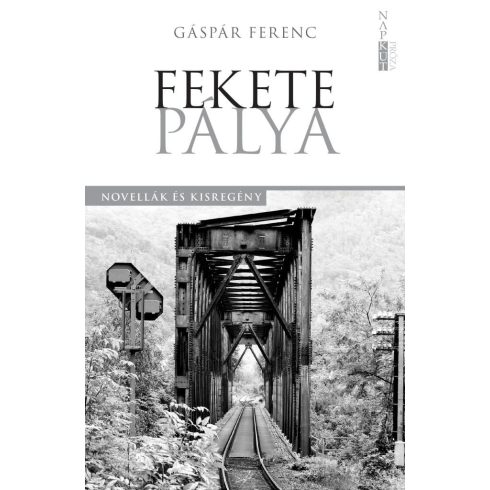 Gáspár Ferenc: Fekete pálya