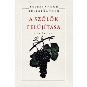 Teleki Andor, Teleki Sándor: A szőlők felújítása