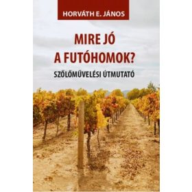 Horváth E. János: Mire jó a futóhomok?