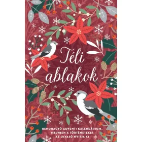   Bagó Tünde: Téli ablakok - Rendhagyó adventi kalendárium, melyben a történeteket az olvasó nyitja ki