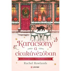 Rachel Rowlands: Karácsony a cicakávézóban