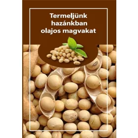 Termeljünk hazánkban olajos magvakat