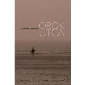 Csender Levente: Örök utca