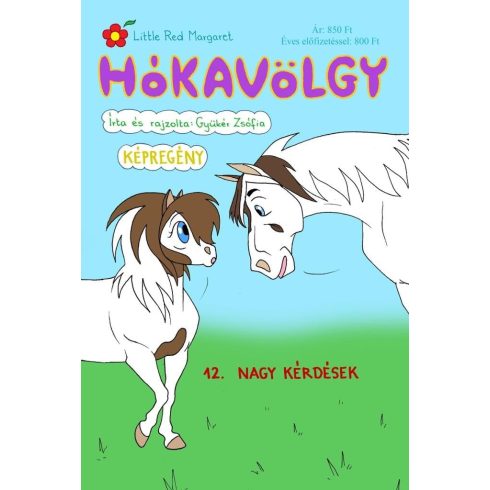 Gyükér Zsófia: Hókavölgy 12. - Nagy kérdések