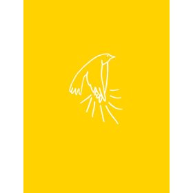   Fusz Mátyás: A madarak tapsolnak, amikor felszállnak - Szemlélődési példagyűjtemény