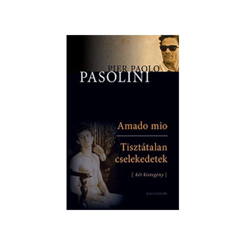 Pier Paolo Pasolini: Amado mio - Tisztátalan cselekedetek (két kisregény) (antikvár)