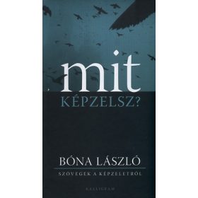 Bóna László: Mit képzelsz? (antikvár)