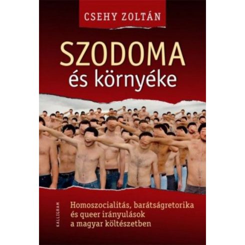 Csehy Zoltán: Szodoma és környéke