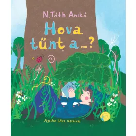 N. Tóth Anikó: Hova tűnt a...?